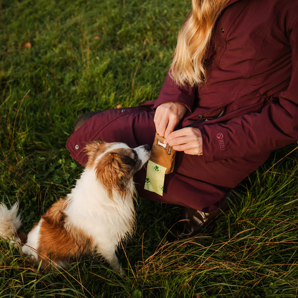 Dog Treat Pouch - Image 4