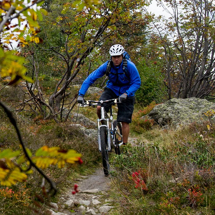 Men's Lynx Softshell Jacket - Image 2